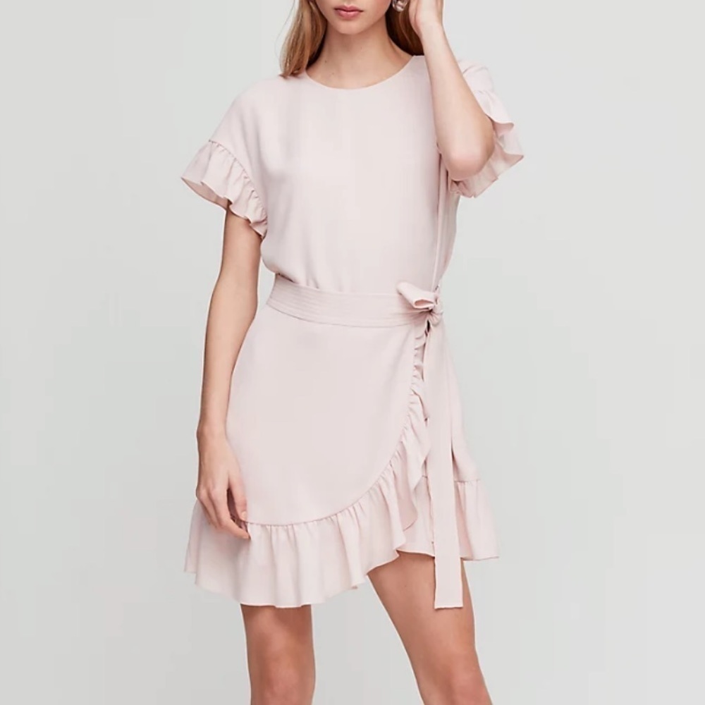 Aritzia Pink Ruffle Mini Dress